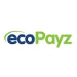 Зробіть депозит в онлайн-казино: Ecopayz
